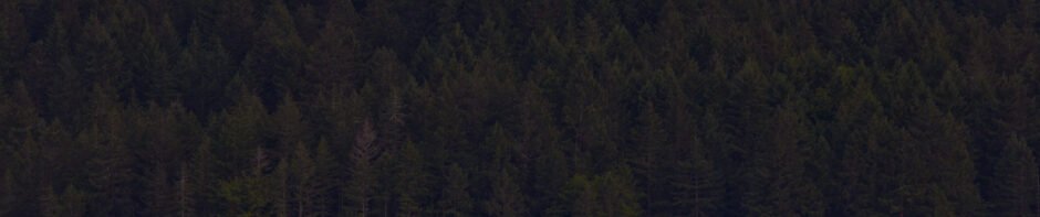 DylanCatlett.com
